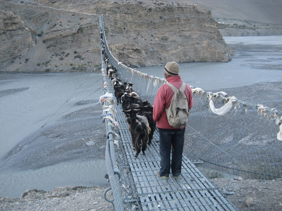  the charisma of Jomsom and the pious milieu of Muktinath