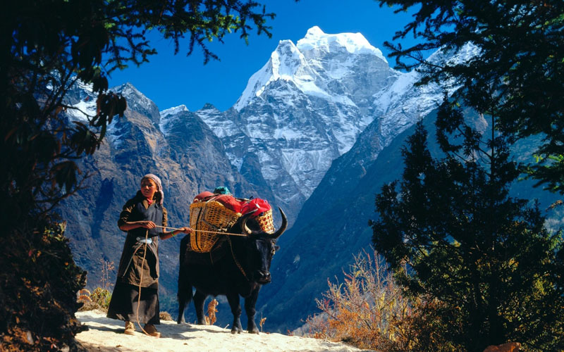 Sherpa Culture in Everest trekking route