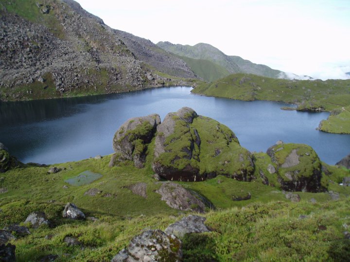 Langtang Rhododendron Trek